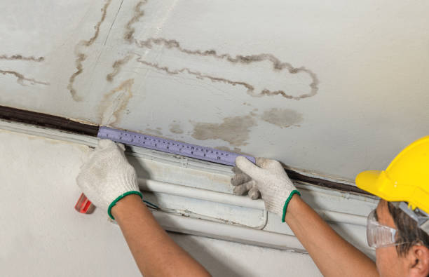 Reliable Water Damage contractor in Genesee, CO by Water Damage Irwin